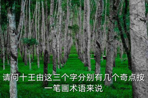 請問十王由這三個字分別有幾個奇點按一筆畫術語來說