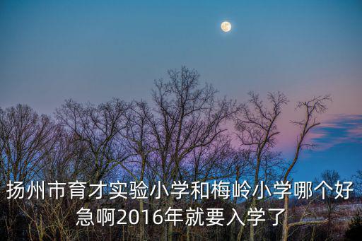 揚州市育才實驗小學和梅嶺小學哪個好急啊2016年就要入學了