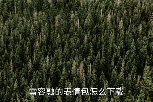 雪容融的表情包怎么下載
