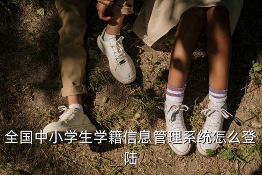 全國中小學生學籍信息管理系統怎么登陸