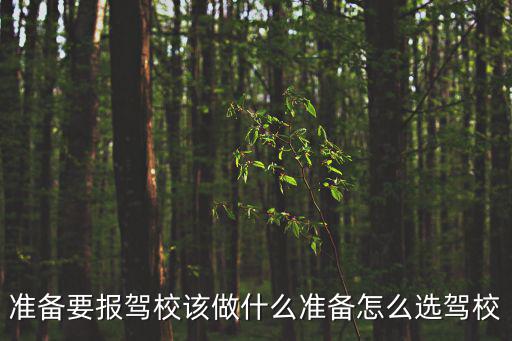 準(zhǔn)備要報(bào)駕校該做什么準(zhǔn)備怎么選駕校