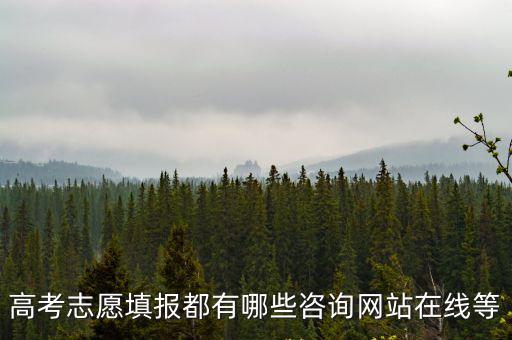 填報志愿網址，湖南省高考志愿填報的網址是多少