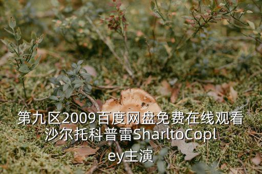 第9區，第九區2降臨者來襲是不是第十區啊