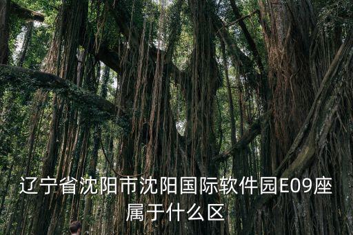 遼寧省沈陽市沈陽國際軟件園E09座屬于什么區