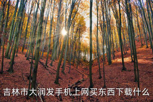 吉林市大潤發(fā)手機(jī)上網(wǎng)買東西下載什么