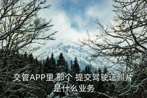 駕駛證照片，交管APP里 那個 提交駕駛證照片 是什么業務