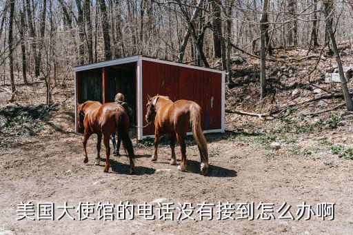 美國大使館電話，美國大使館的電話沒有接到怎么辦啊