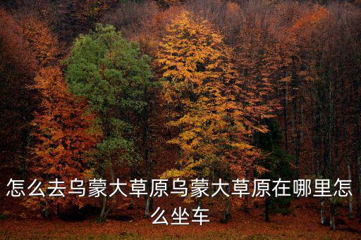 怎么去烏蒙大草原烏蒙大草原在哪里怎么坐車
