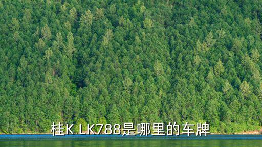 桂K LK788是哪里的車牌