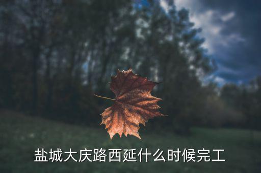 鹽城大慶路西延什么時候完工