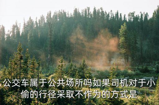 公交車屬于公共場所嗎如果司機對于小偷的行徑采取不作為的方式是