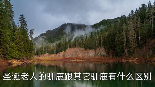 圣誕老人的馴鹿跟其它馴鹿有什么區別