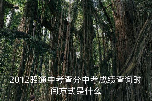 中考成績查詢網址，中考成績查詢網址是多少啊