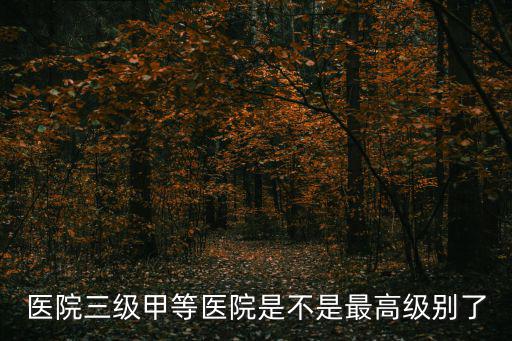 醫(yī)院三級(jí)甲等醫(yī)院是不是最高級(jí)別了