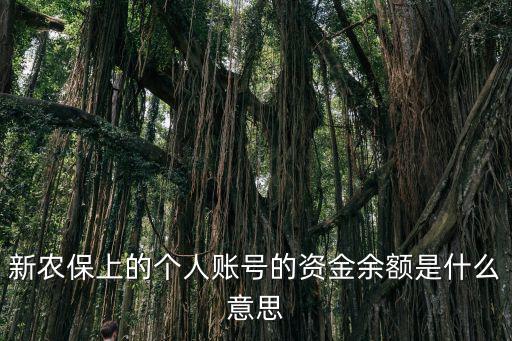 新農保上的個人賬號的資金余額是什么意思