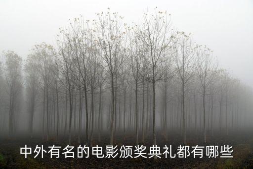 中外有名的電影頒獎(jiǎng)典禮都有哪些