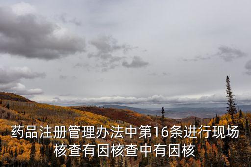 核查是什么意思，客服專員核查中是什么意思啊
