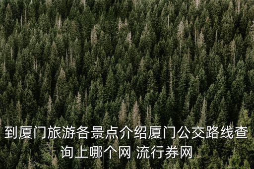 廈門公交線路查詢，廈門市所有公交車路線