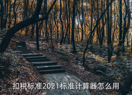 扣稅標(biāo)準(zhǔn)2021標(biāo)準(zhǔn)計(jì)算器怎么用