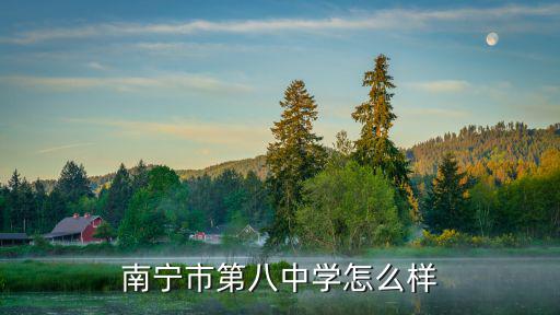 南寧市第八中學(xué)，南寧市第八中學(xué)怎么樣