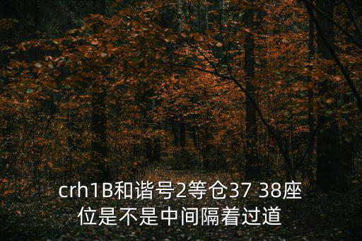 crh1B和諧號2等倉37 38座位是不是中間隔著過道