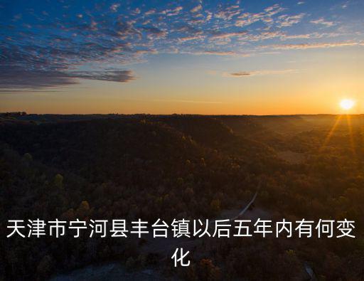 天津市寧河縣豐臺鎮以后五年內有何變化