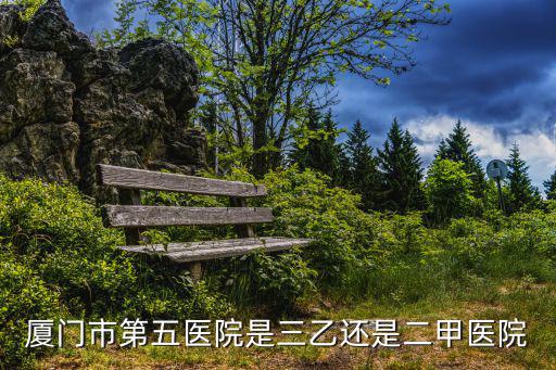 第五醫院，五醫院是干什么的