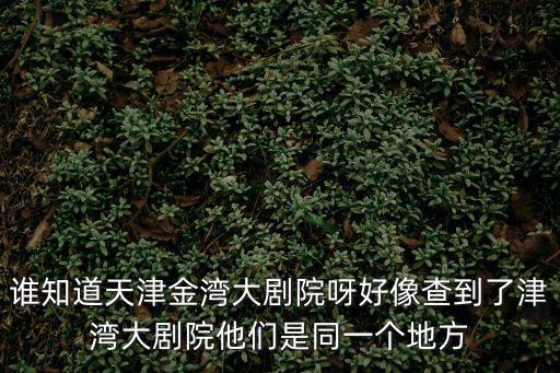 天津津灣大劇院，誰知道天津金灣大劇院呀好像查到了津灣大劇院他們是同一個地方