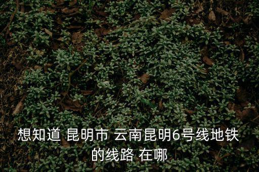 軌道交通6號線，地鐵6號線