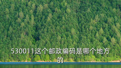 530011，530011這個郵政編碼是哪個地方的