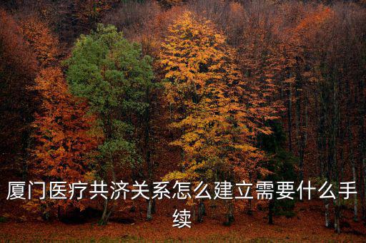 醫保共濟怎么操作，廈門醫療共濟關系怎么建立需要什么手續
