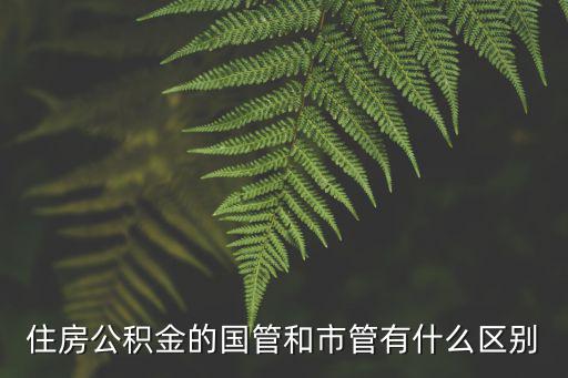 住房公積金的國管和市管有什么區(qū)別