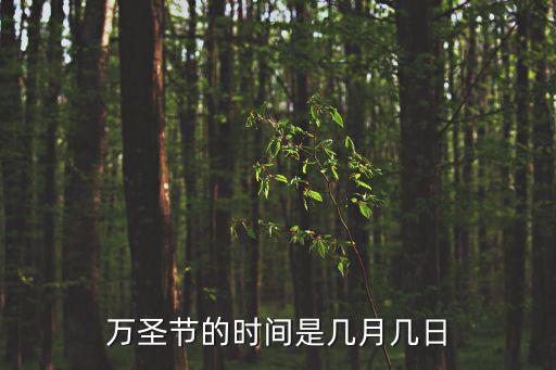萬圣節的時間是幾月幾日