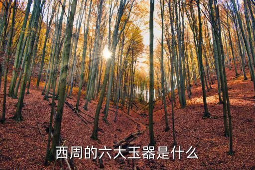 西周的六大玉器是什么