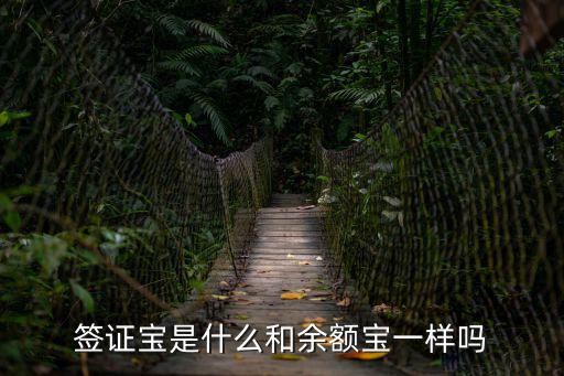 簽證寶是什么和余額寶一樣嗎