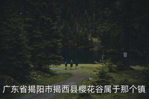 廣東省揭陽市揭西縣櫻花谷屬于那個鎮(zhèn)