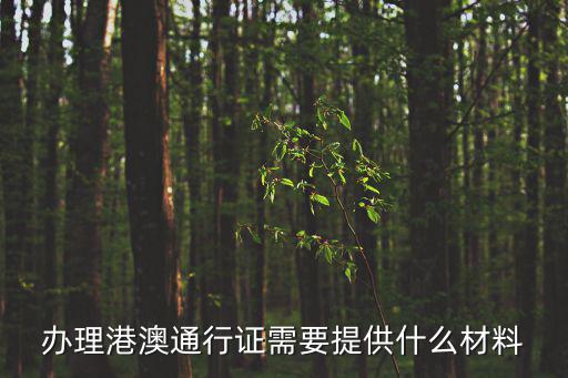 辦理港澳通行證需要什么材料，辦理港澳通行證需要提供什么材料