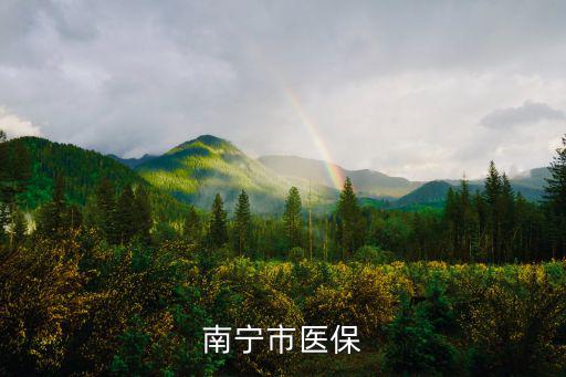 南寧醫(yī)保，南寧市醫(yī)保