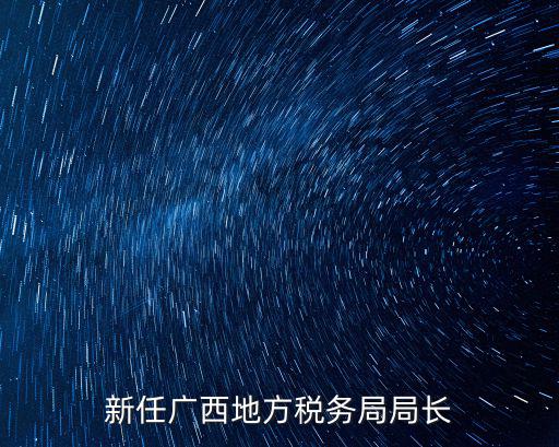 新任廣西地方稅務局局長
