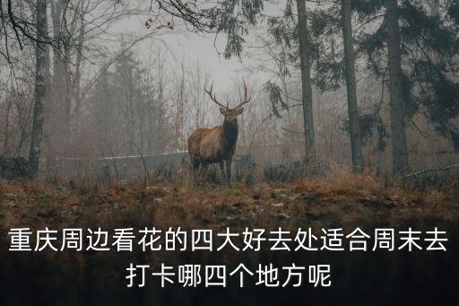 附近看花的地方，重慶周邊看花的四大好去處適合周末去打卡哪四個地方呢