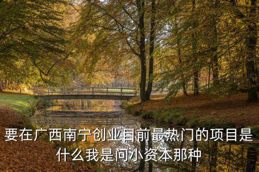 要在廣西南寧創業目前最熱門的項目是什么我是問小資本那種