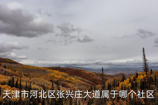天津市河北區張興莊大道屬于哪個社區