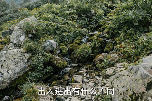 出入進出有什么不同