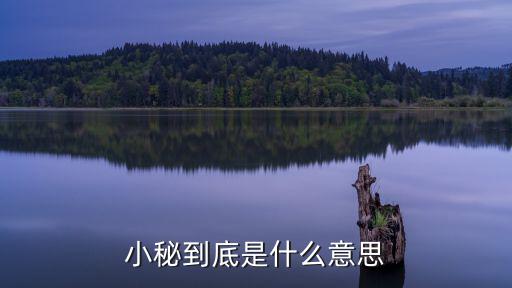 小策，小秘到底是什么意思