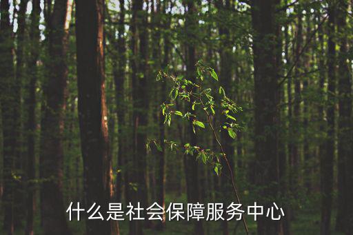 什么是社會保障服務中心