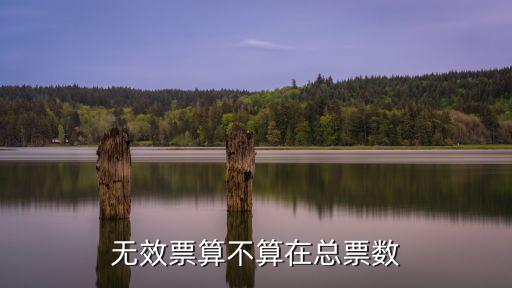 無效票算不算在總票數