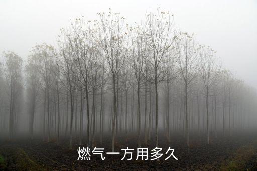燃氣多少錢一方，天然氣價格