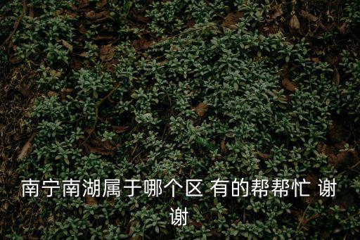 南寧南湖屬于哪個(gè)區(qū) 有的幫幫忙 謝謝