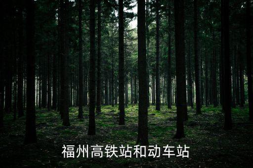 福州高鐵站，福州高鐵站和動車站