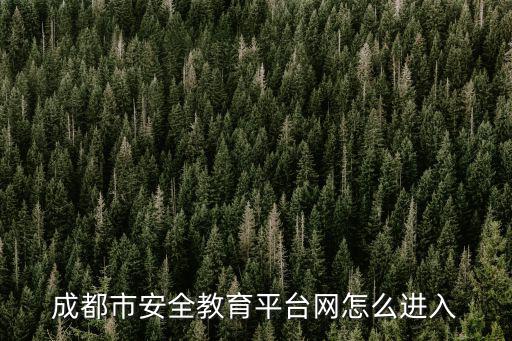 成都市安全教育平臺網怎么進入